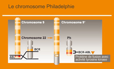 Le PCR