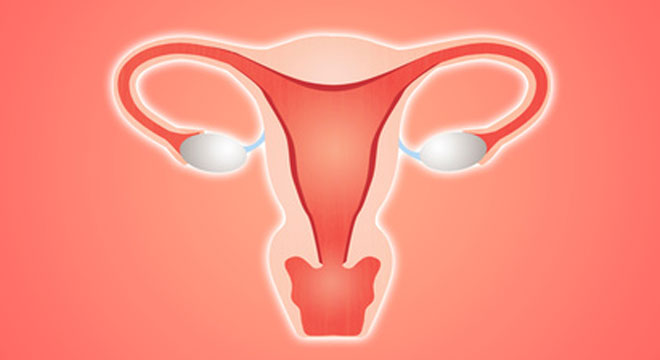 Kystes de l’ovaire: sont le plus souvent des tumeurs bénignes