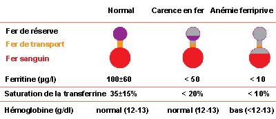 Carence en fer permanente en cas de bilan du fer négatif